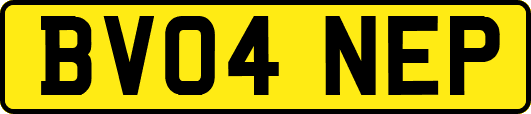 BV04NEP