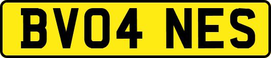 BV04NES
