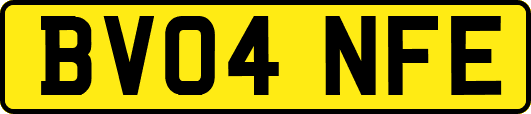 BV04NFE