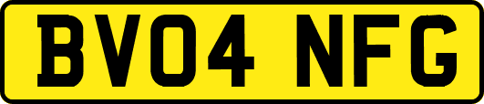 BV04NFG