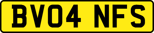 BV04NFS