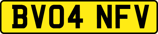BV04NFV