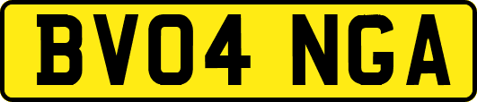 BV04NGA