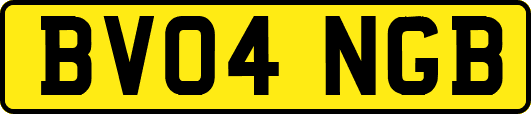 BV04NGB