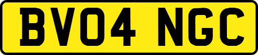 BV04NGC