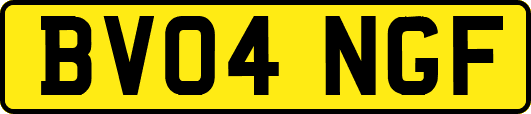 BV04NGF