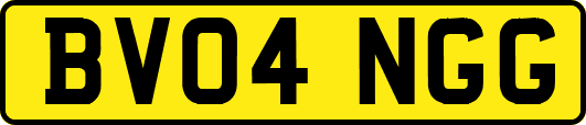 BV04NGG