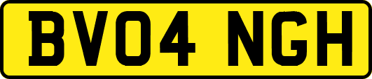 BV04NGH