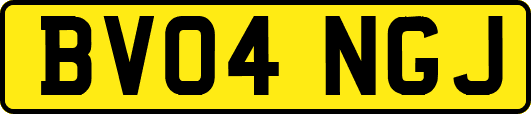 BV04NGJ