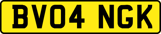 BV04NGK