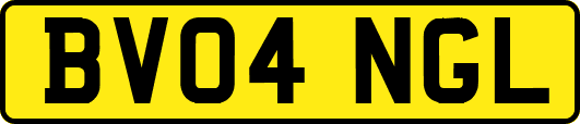 BV04NGL