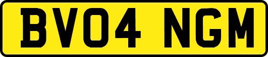 BV04NGM