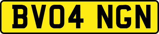 BV04NGN