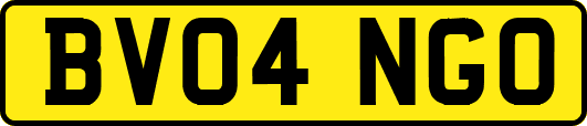 BV04NGO