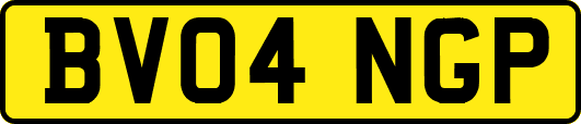 BV04NGP