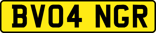 BV04NGR