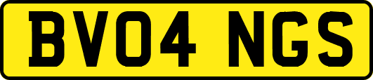 BV04NGS