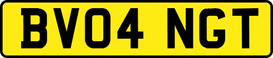 BV04NGT