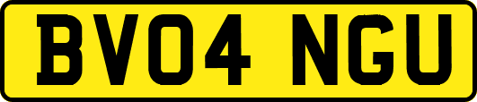 BV04NGU