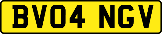 BV04NGV