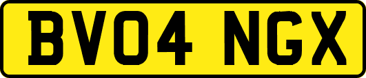BV04NGX