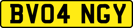 BV04NGY