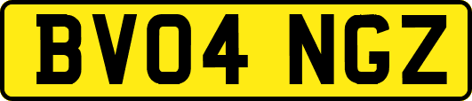 BV04NGZ