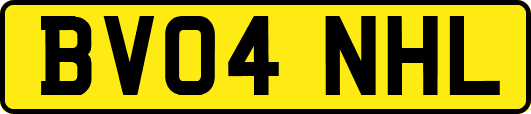 BV04NHL