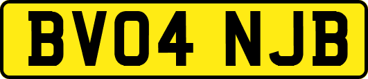 BV04NJB