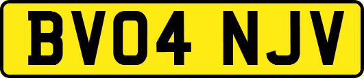 BV04NJV