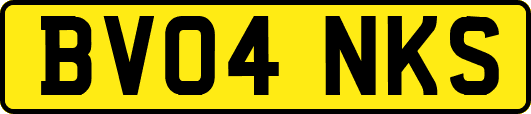 BV04NKS