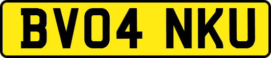 BV04NKU
