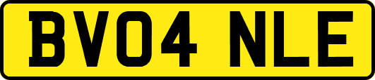 BV04NLE