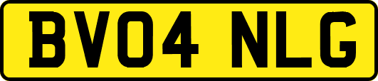 BV04NLG