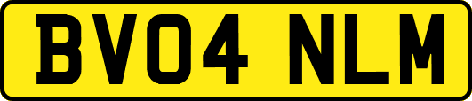 BV04NLM