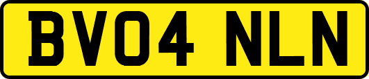 BV04NLN