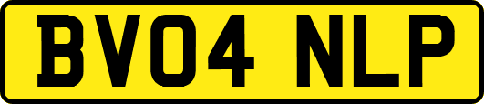 BV04NLP