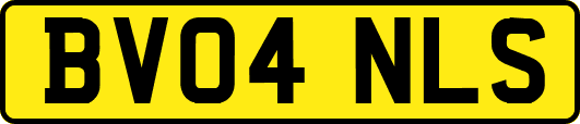 BV04NLS