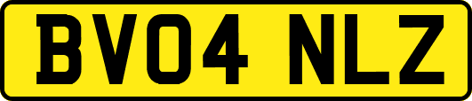 BV04NLZ