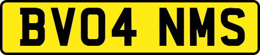 BV04NMS