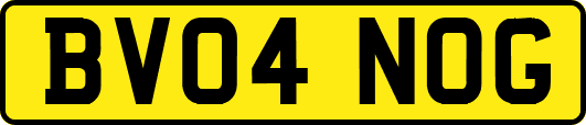 BV04NOG