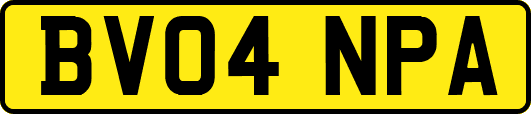 BV04NPA