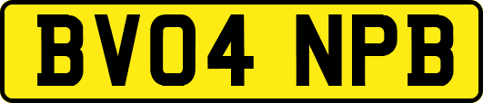 BV04NPB