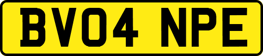 BV04NPE