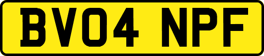 BV04NPF