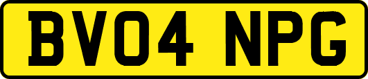 BV04NPG