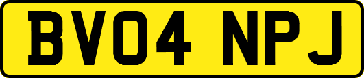 BV04NPJ