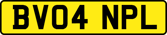 BV04NPL