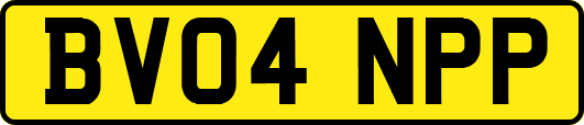 BV04NPP