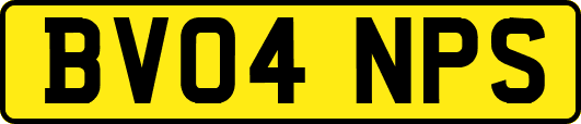 BV04NPS